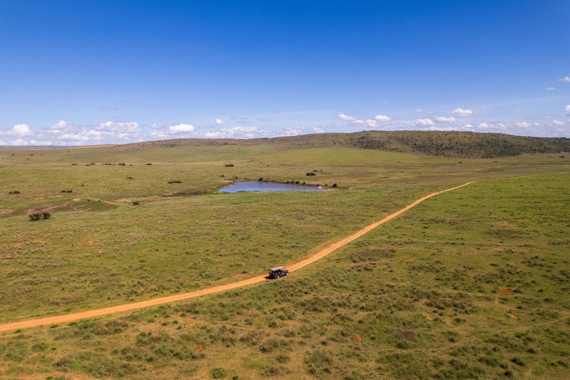 Sediba Luxury Safari Lodge Welgevonden Game Reserve Zewnętrze zdjęcie
