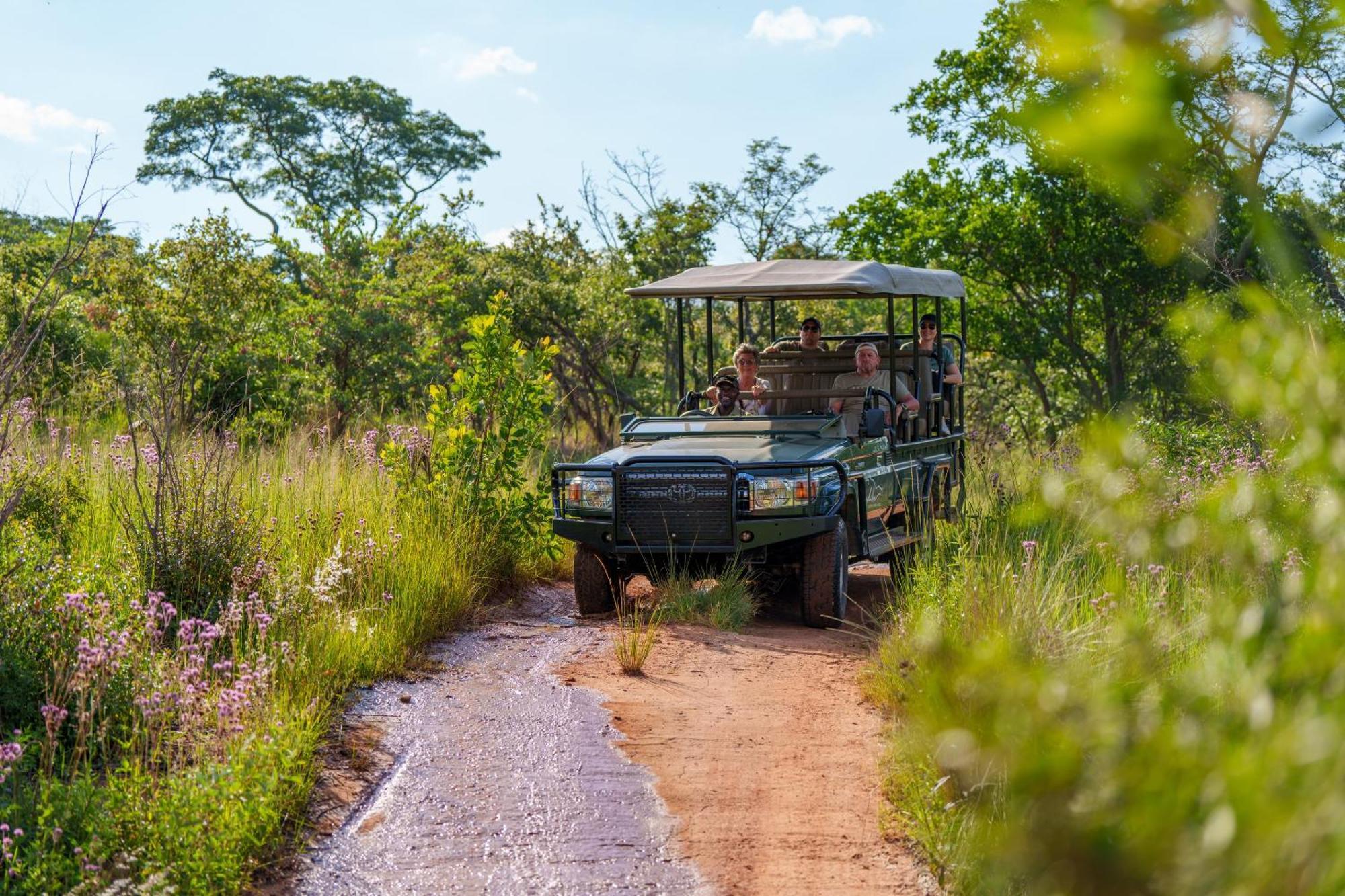 Sediba Luxury Safari Lodge Welgevonden Game Reserve Zewnętrze zdjęcie